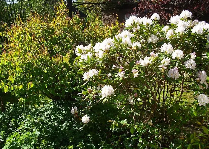 Apartamento Hus Dungrot